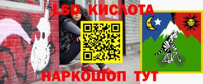 ГАЛЛЮЦИНОГЕННЫЕ ГРИБЫ Шелехов