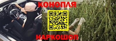 прущие грибы Шебекино